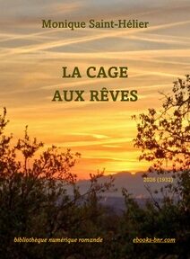 Paysage au ciel rouge sang avec des arbres qui se détachent en sombre sur le ciel et un soleil qui perce derrière des montagnes violettes photos Entre le poirier et le prunier, le lever du soleil a été prise par Anne van de Perre