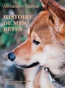 Couverture du livre intitulé Couverture du livre intitulé