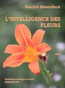 Couverture de Couverture de